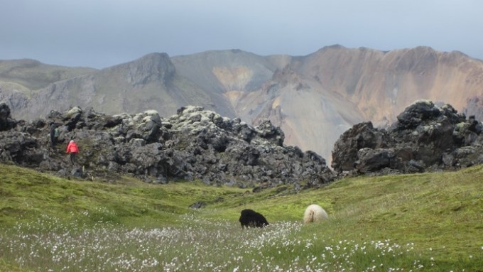 Trekking Islandia Interior y Highlands
