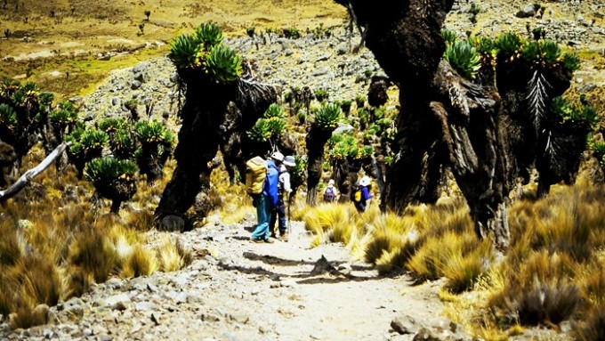 Trekking Monte Kenia