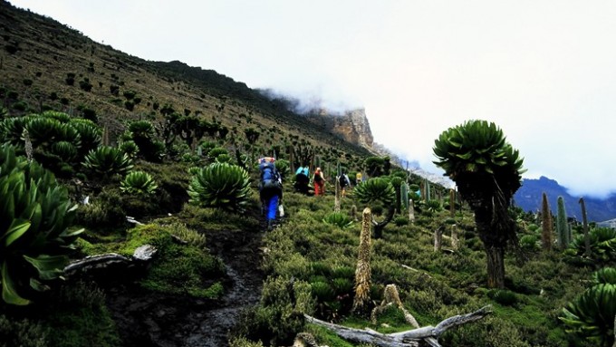 Trekking Monte Kenia
