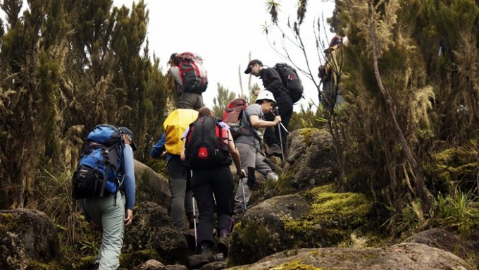 Trekking Kilimanjaro Marangu