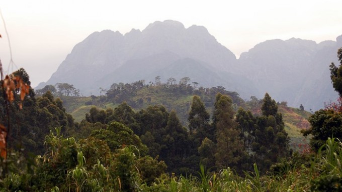 Trekking Rwenzori Uganda