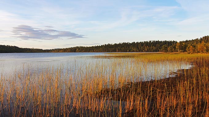 Finlandia otoño bajo la aurora boreal